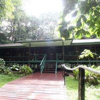 4D3N Mulu Pinnacles & Show Caves