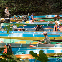 4D3N Miri Mulu Unesco Tour With National Park Stay