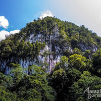 5D4N Mulu Pinnacles & Show Caves