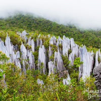 4D3N Mulu Pinnacles & Show Caves