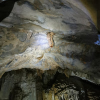 4D3N Mulu Pinnacles & Show Caves