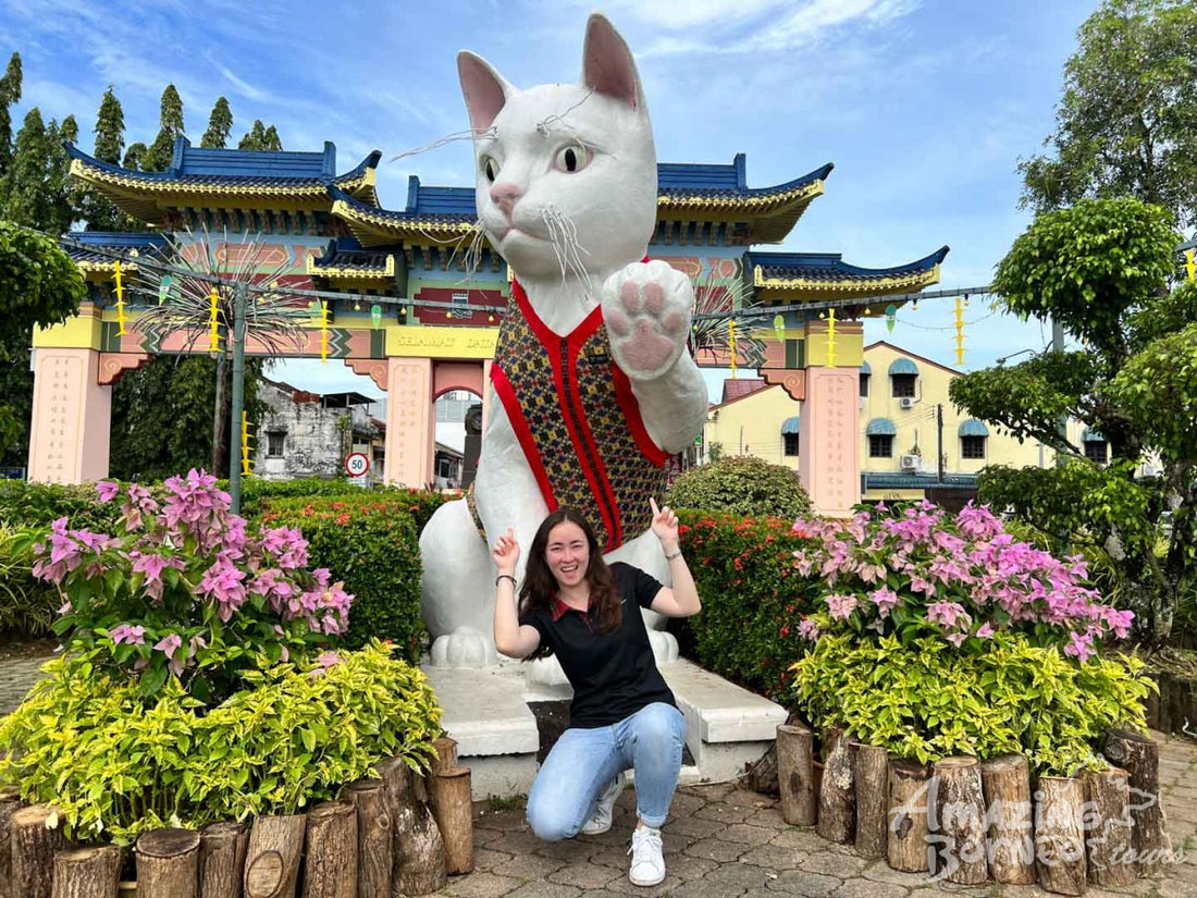 5D4N Kuching Wildlife & Culture Mulu Unesco With National Park Stay