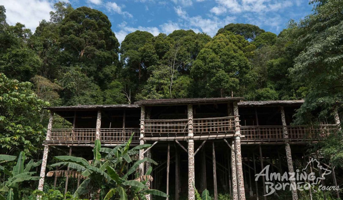 5D4N Kuching Wildlife & Culture Mulu Unesco With National Park Stay