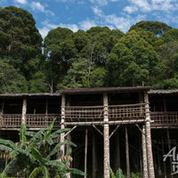 5D4N Kuching Wildlife & Culture Mulu Unesco With National Park Stay