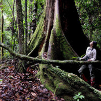 17D16N Sabah & Sarawak Adventure - Bako, Mulu Caves, Gaya Island, Kinabalu Geopark, Sukau & Borneo Rainforest Lodge