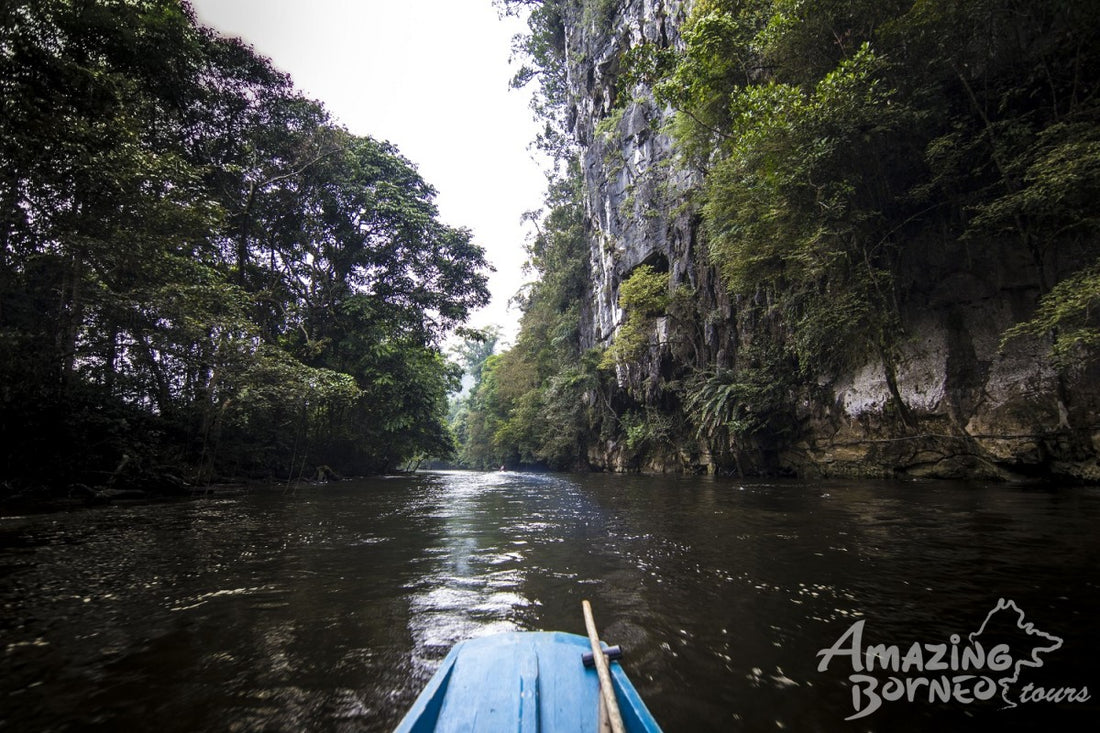 4D3N Mulu National Park Discovery