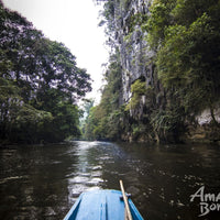 4D3N Mulu National Park Discovery