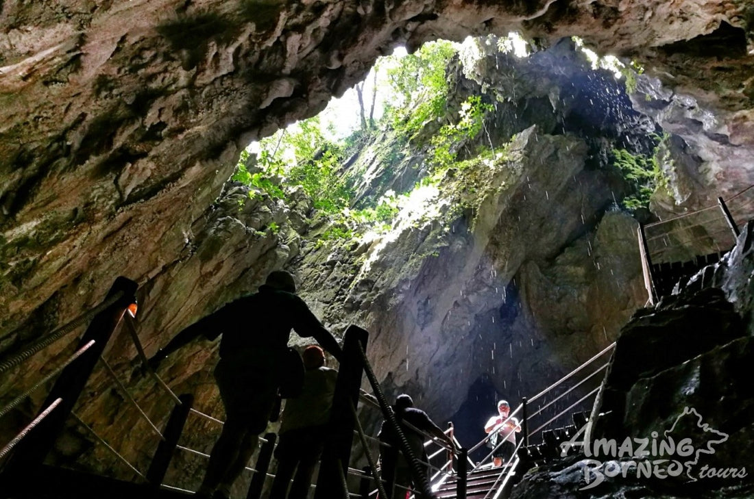 4D3N Mulu National Park Discovery