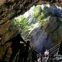 4D3N Mulu National Park Discovery