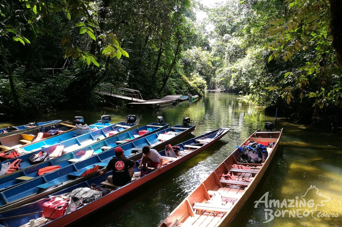 5D4N Mulu Pinnacles & Show Caves