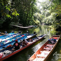 5D4N Mulu Pinnacles & Show Caves