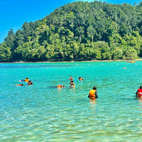 5D4N Kota Kinabalu & Mulu Highlights With North Borneo Cruise