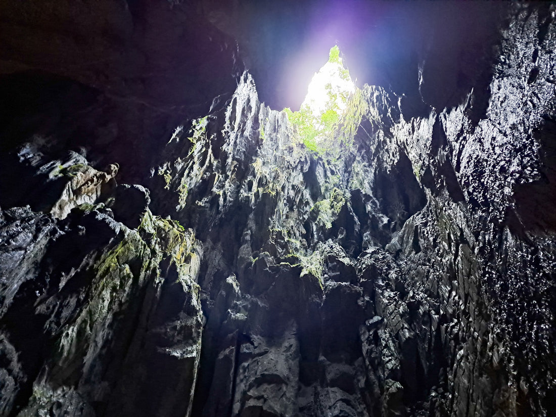 5D4N Kota Kinabalu & Mulu Highlights With North Borneo Cruise