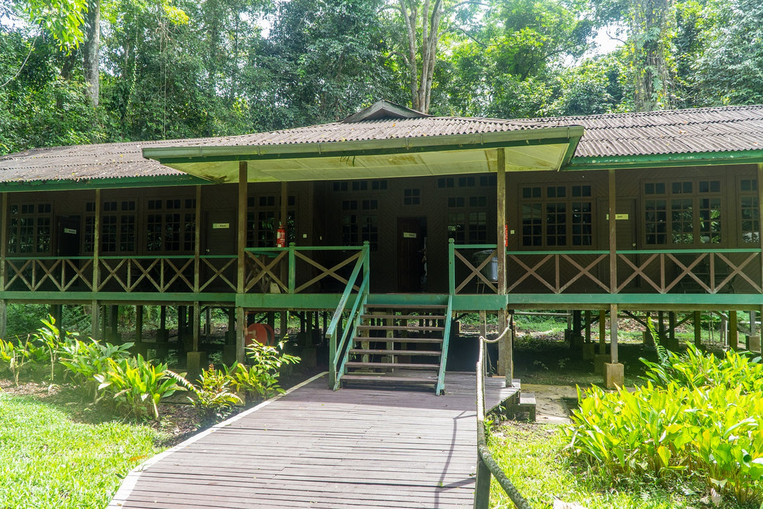 5D4N Kota Kinabalu & Mulu Highlights With North Borneo Cruise