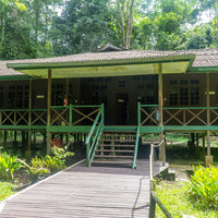 5D4N Kota Kinabalu & Mulu Highlights With North Borneo Cruise