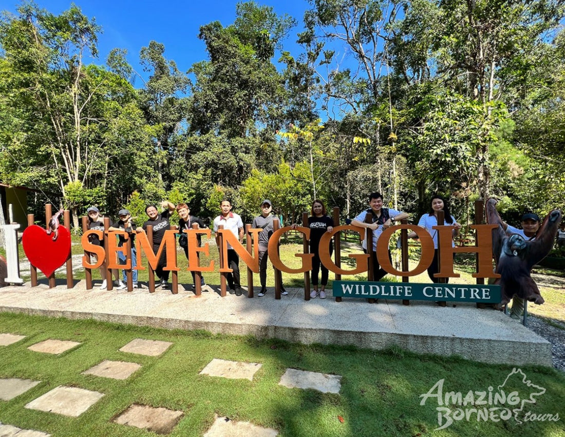 5D4N Kuching Wildlife & Culture Mulu Unesco With National Park Stay