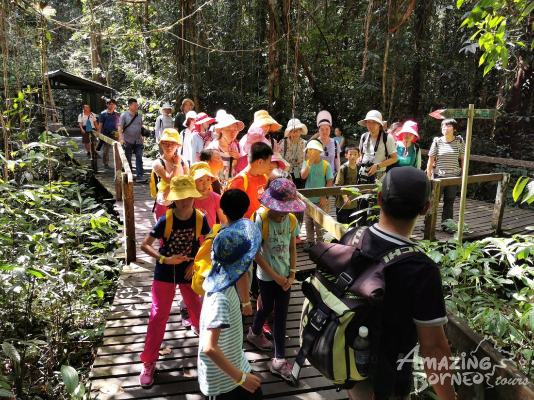 4D3N Kuching & Mulu Unesco Tour With National Park Stay