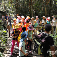 4D3N Kuching & Mulu Unesco Tour With National Park Stay