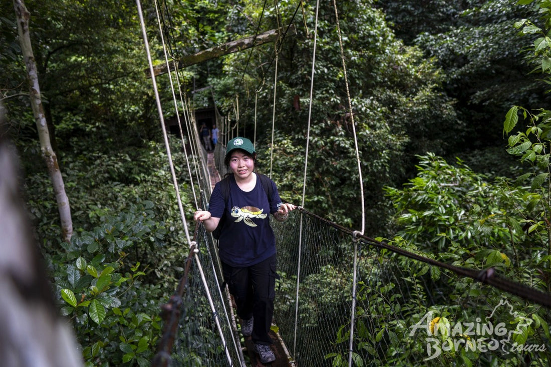 4D3N Mulu National Park Discovery