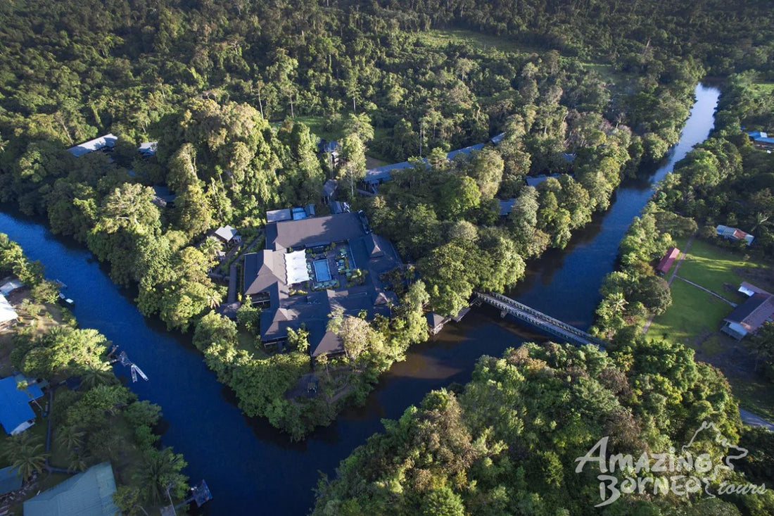 4D3N Mulu National Park Discovery