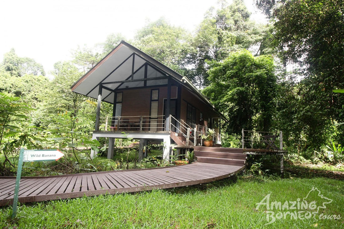 5D4N Miri-Brunei Mulu Unesco Tour With National Park Stay