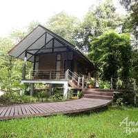 5D4N Miri-Brunei Mulu Unesco Tour With National Park Stay