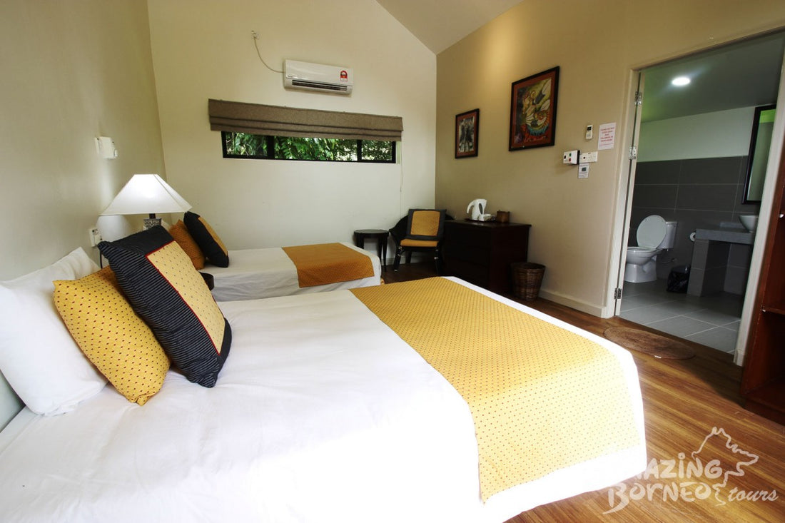 4D3N Mulu National Park Discovery