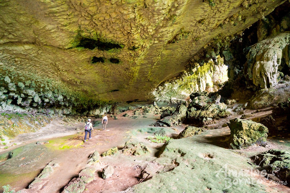 4D3N Kuching & Mulu Unesco Tour With National Park Stay