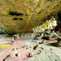 4D3N Kuching & Mulu Unesco Tour With National Park Stay
