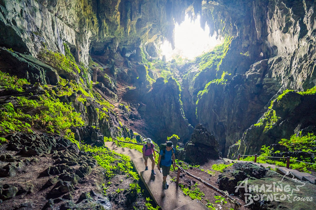 4D3N Kuching & Mulu Unesco Tour With National Park Stay