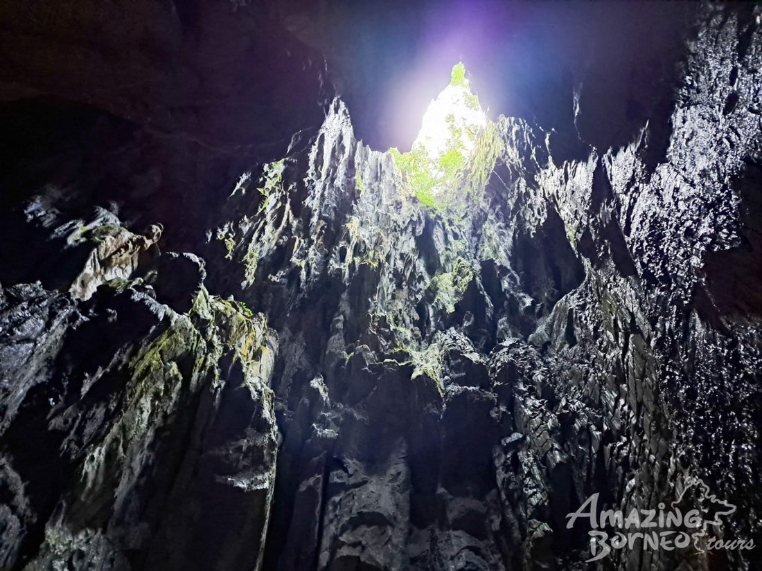 4D3N Mulu National Park Discovery