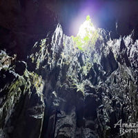 4D3N Mulu National Park Discovery