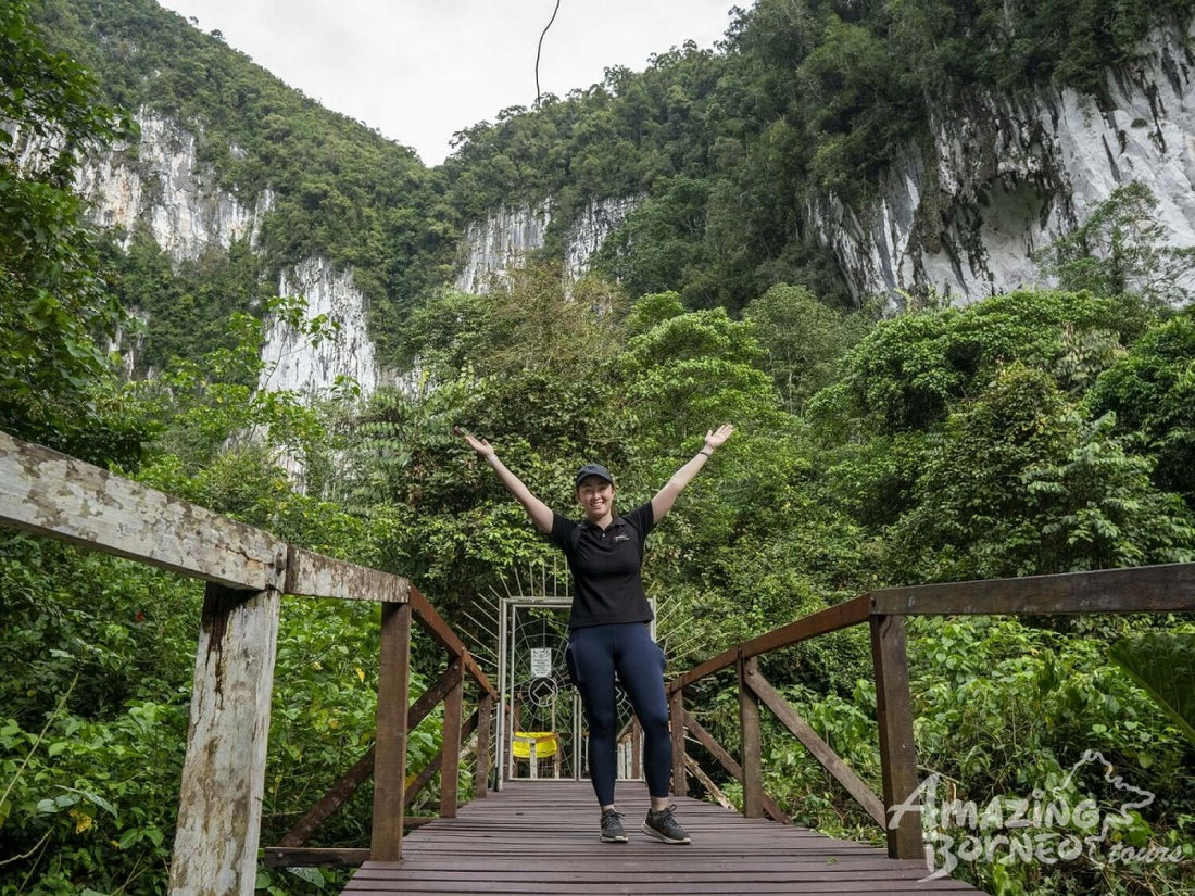4D3N Mulu National Park Discovery