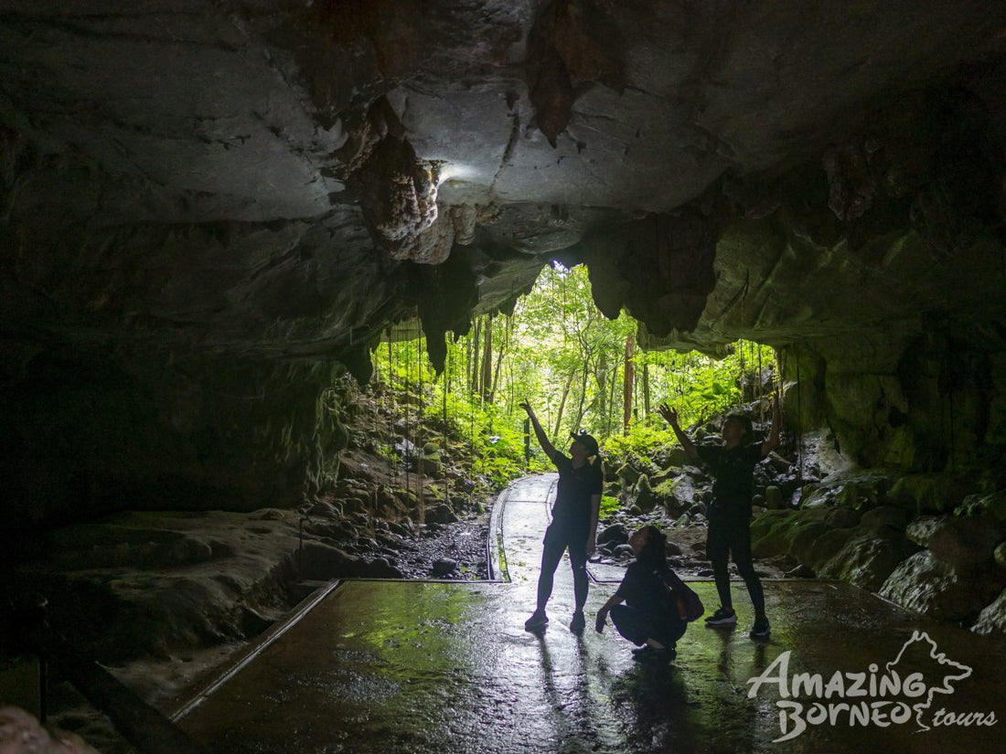 5D4N Mulu Pinnacles & Show Caves