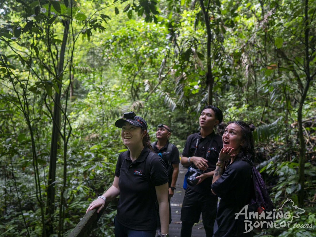 3D2N Mulu Show Caves & Park HQ Stay