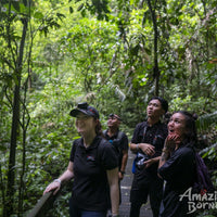 5D4N Mulu Pinnacles & Show Caves