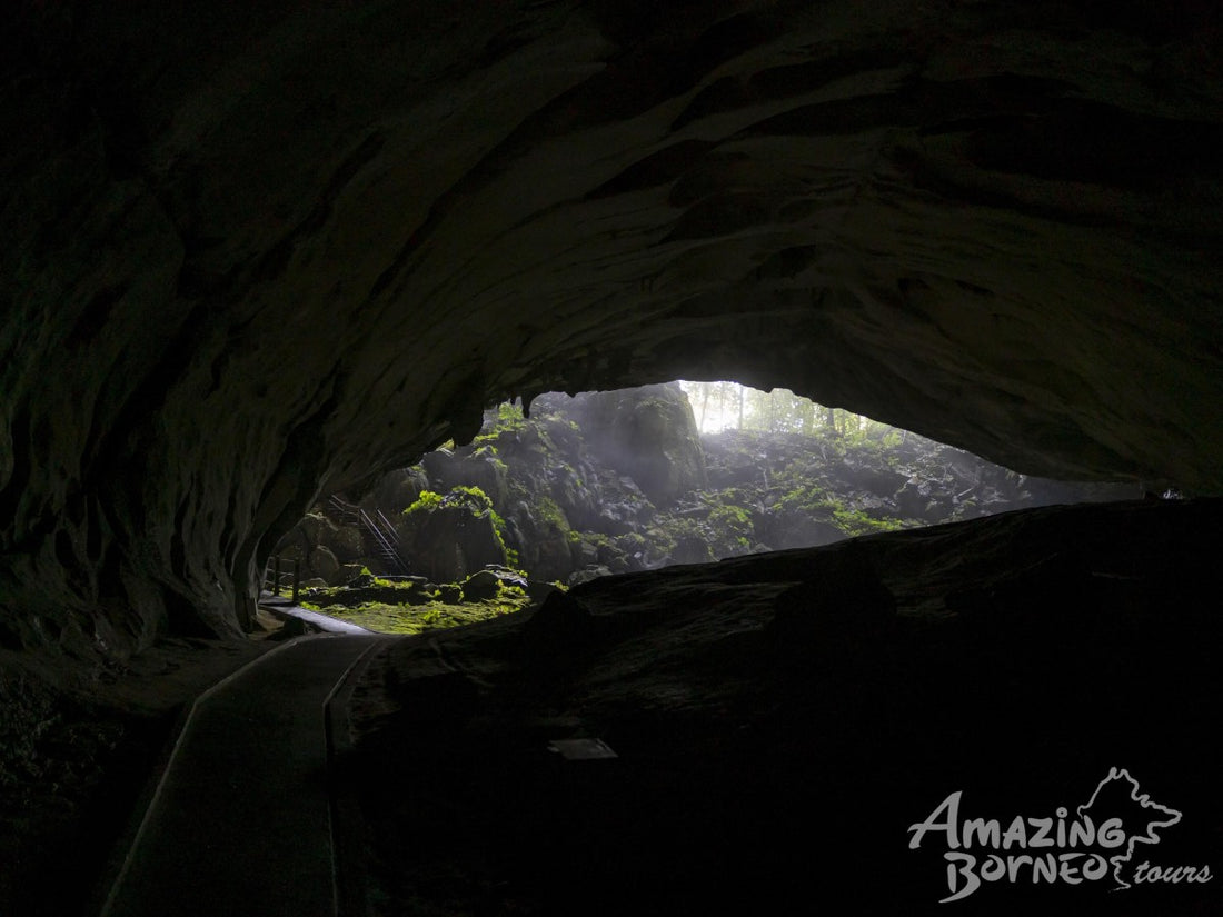 5D4N Miri-Brunei Mulu Unesco Tour With National Park Stay