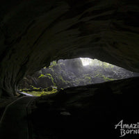 5D4N Miri-Brunei Mulu Unesco Tour With National Park Stay
