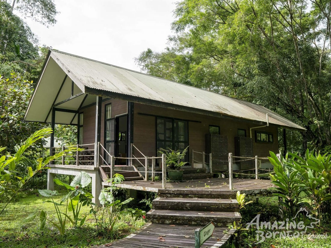 3D2N Mulu Show Caves & Park HQ Stay