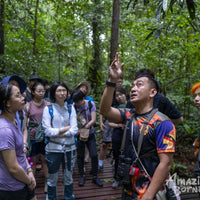 4D3N Mulu Pinnacles & Show Caves