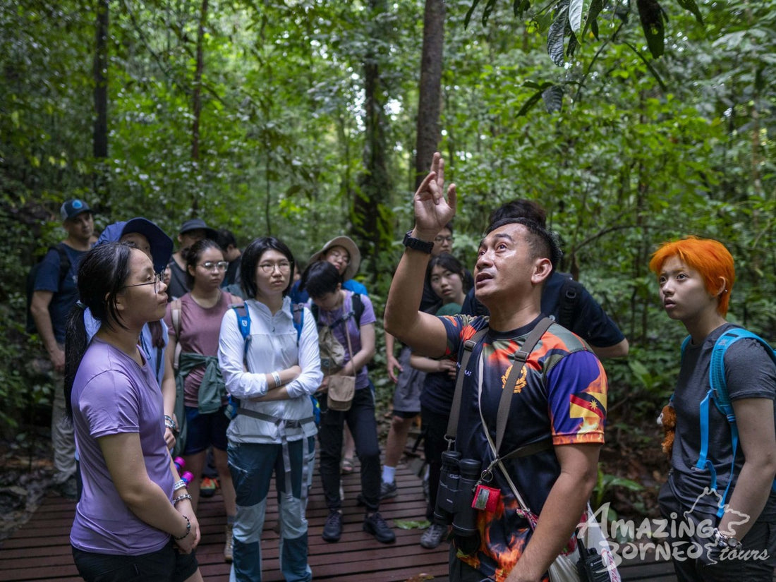 5D4N Mulu Pinnacles & Show Caves
