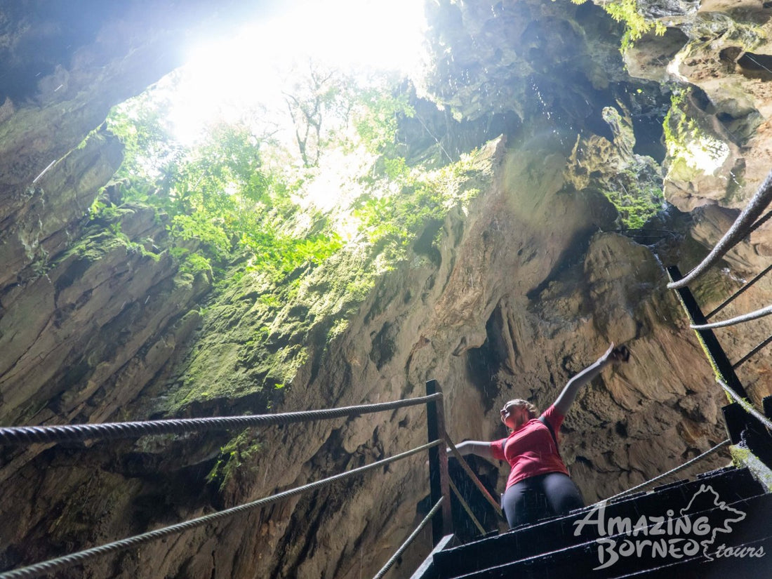 3D2N Mulu Show Caves & Park HQ Stay