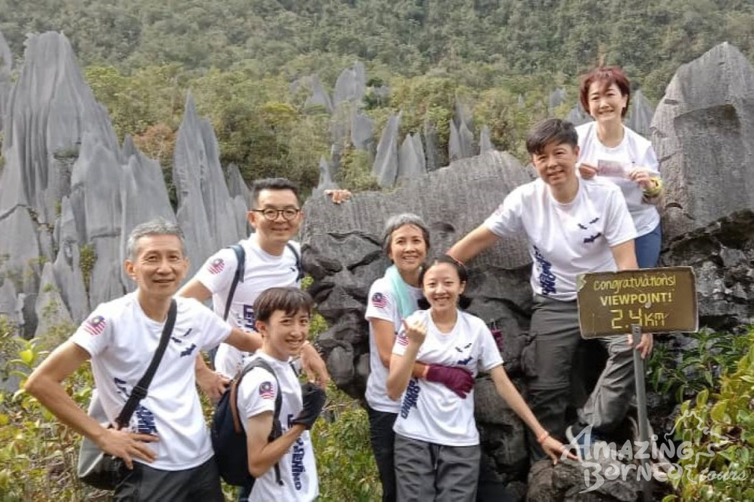 5D4N Mulu Pinnacles & Show Caves