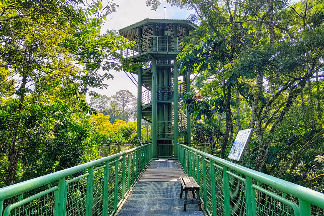 17D16N Sabah & Sarawak Adventure - Tabin, Danum Valley, Bako, Mulu Caves & Irrawaddy Dolphins