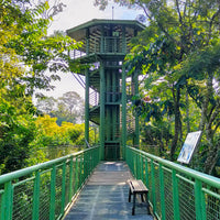 17D16N Sabah & Sarawak Adventure - Tabin, Danum Valley, Bako, Mulu Caves & Irrawaddy Dolphins