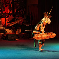 17D16N Sabah & Sarawak Adventure - Tabin, Danum Valley, Bako, Mulu Caves & Irrawaddy Dolphins