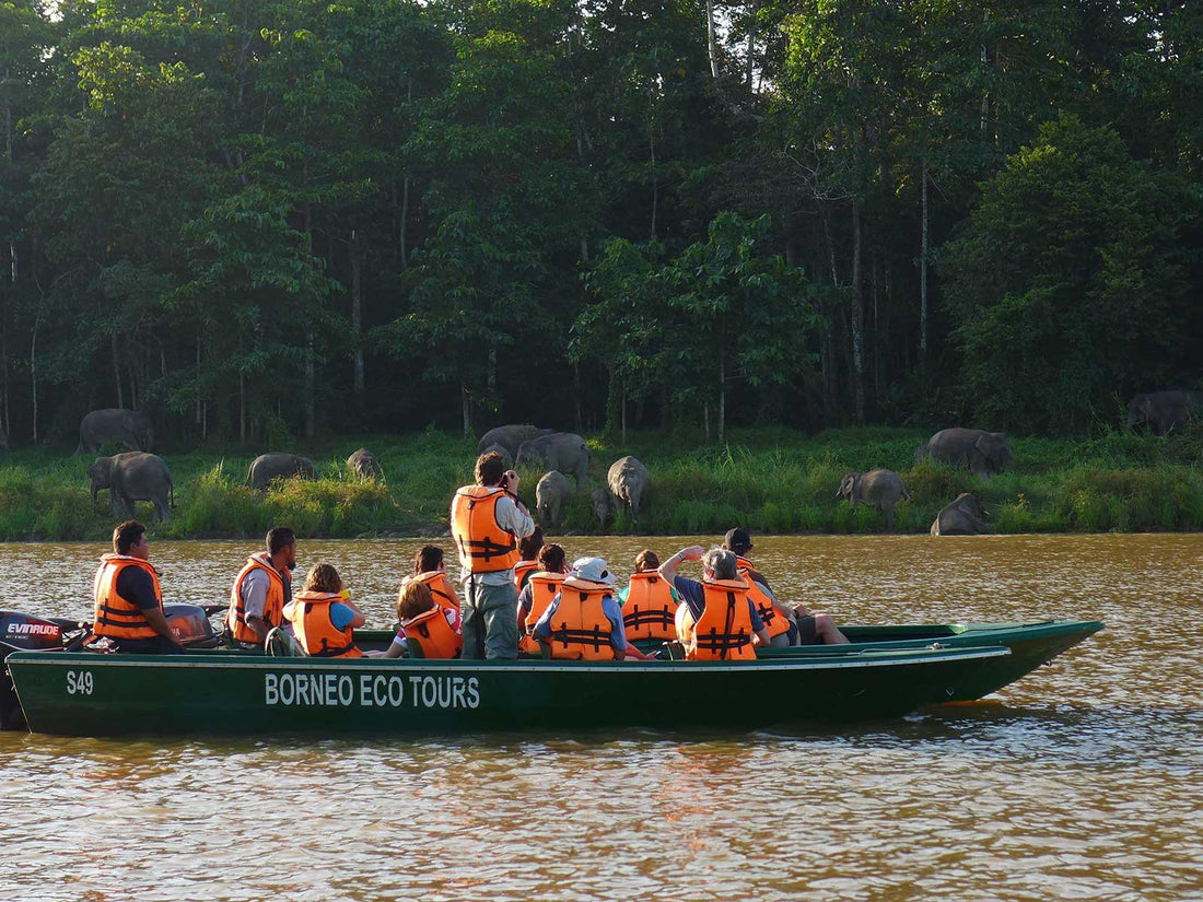 17D16N Sabah & Sarawak Adventure - Tabin, Danum Valley, Bako, Mulu Caves & Irrawaddy Dolphins
