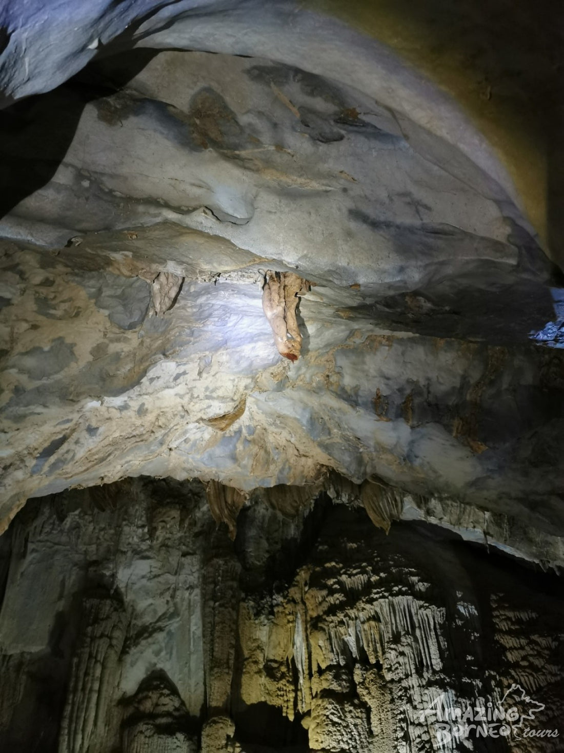 4D3N Mulu Pinnacles & Show Caves