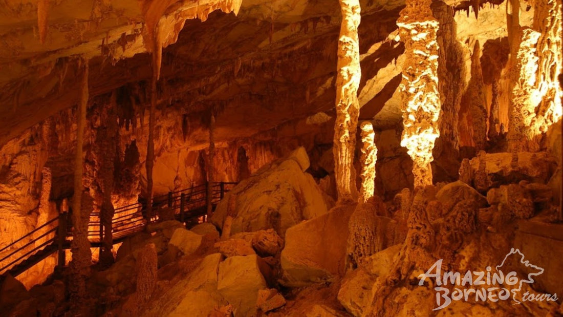 4D3N Mulu Pinnacles & Show Caves